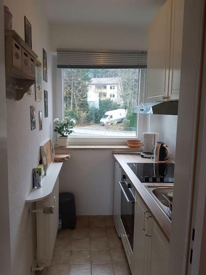 Weitblick Apartment Sankt Andreasberg Ngoại thất bức ảnh